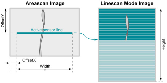 Configuración de la geometría de la imagen para el modo Linescan