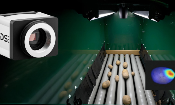 Sistema de clasificación de patatas basado en inteligencia artificial con una cámara industrial resistente para el control de calidad óptico en el procesamiento en la explotación agrícola