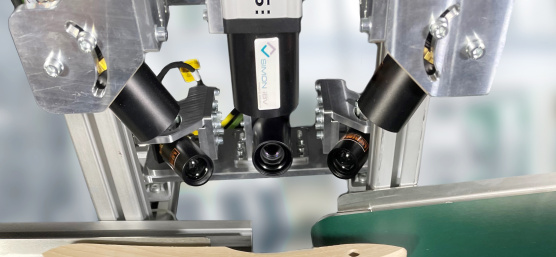Control totalmente automático de cuerpos de madera