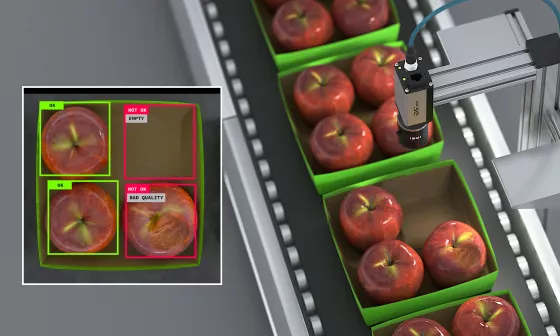 Una cámara IDS NXT comprueba la integridad y calidad de las manzanas envasadas en una cinta transportadora.