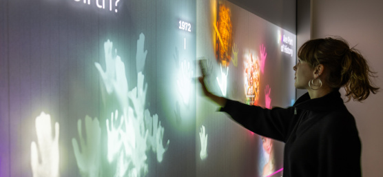 Pantalla multimedia interactiva con procesamiento de imágenes y visualización de datos en tiempo real