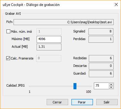 Captura de pantalla del paquete de software IDS que muestra el cuadro de diálogo Grabar.