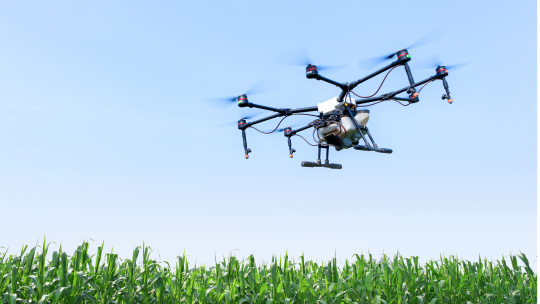 Dron agrícola volando sobre un campo de maíz verde.