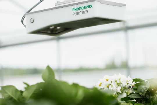 Las plantas de un invernadero son vigiladas por una cámara