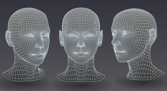 El modelo 3D del rostro permite su identificación automática