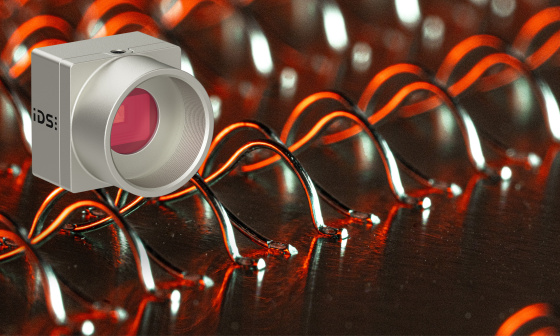 Cables de enlace con uEye XCP