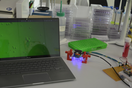 Microscopio de fluorescencia con cámara board level USB3 uEye XLE. La pantalla muestra las células capturadas.