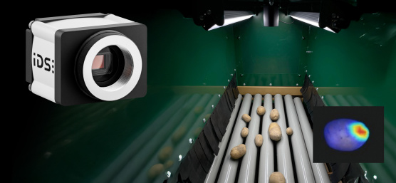 Sistema de clasificación de patatas basado en inteligencia artificial con una cámara industrial resistente para el control de calidad óptico en el procesamiento en la explotación agrícola