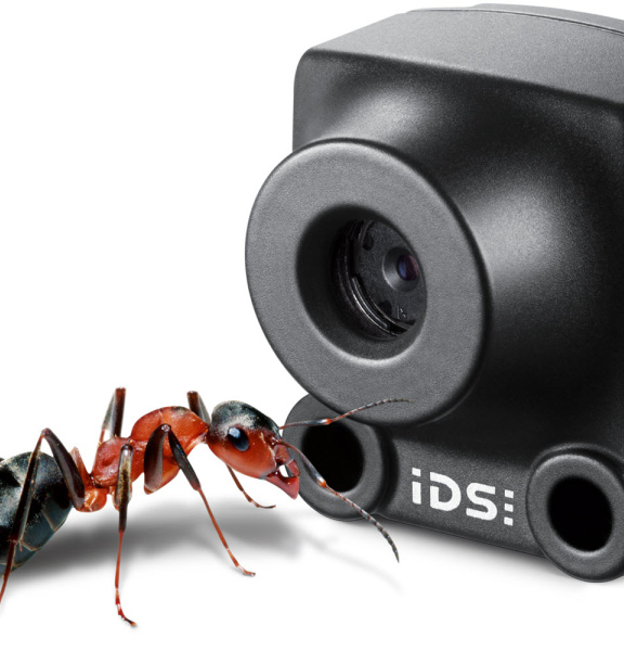 Cámara IDS XS y una hormiga para comparar delante de ella