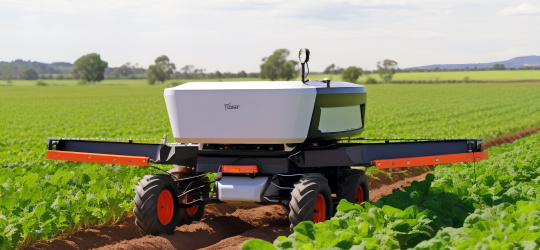 Robot en un campo de hortalizas en la agricultura.