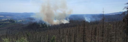 Silvicultura 4.0: cámaras detectan daños y supervisan espacios naturales.