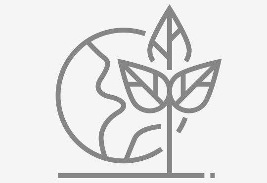 Icono de sostenibilidad de la IDS