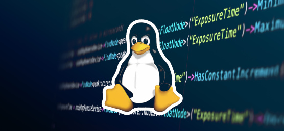 Logotipo de Linux y código de programación