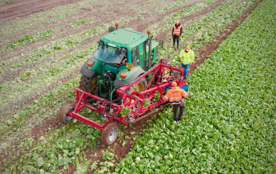 Prototipo del robot cosechador de lechugas de Agri-Epicentre (Reino Unido)