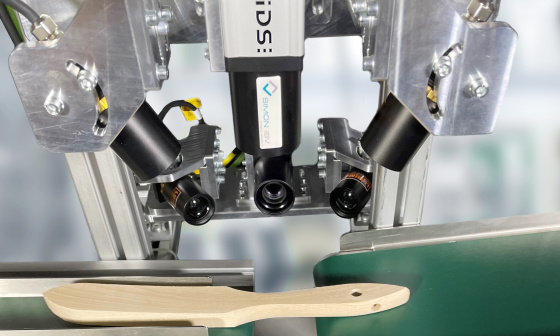 Control totalmente automático de cuerpos de madera