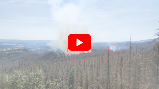 Un bosque con focos de incendio rodeados. Encima, el botón de reproducción de YouTube.