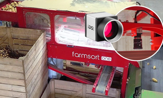 Una cámara industrial IDS supervisa la clasificación de patatas en la planta de farmsort