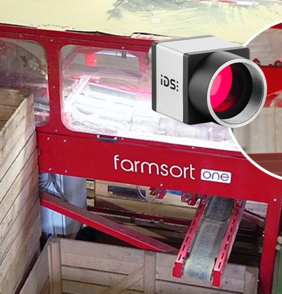 Una cámara industrial IDS supervisa la clasificación de patatas en la planta de farmsort